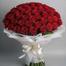 Букет 101 Красная роза Блэк Мэджик в Станционно-Ояшинском
