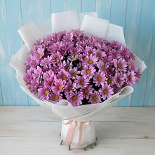 Букет цветов из:  Хризантемы #REPLACE_PRED# Станционно-Ояшинском