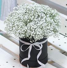 Цветочная композиция из Гипсофила в шляпной коробке #REPLACE_PRED# Станционно-Ояшинском