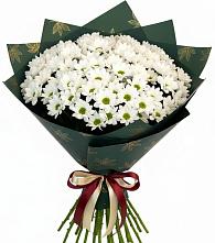 Букет цветов из:  Хризантемы в Станционно-Ояшинском