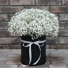 Цветочная композиция из Гипсофила в шляпной коробке в Станционно-Ояшинском