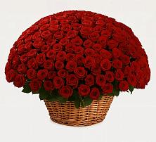 Премиум букет из: Розы в Станционно-Ояшинском