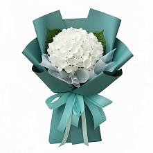 Букет цветов из:  Гортензия #REPLACE_PRED# Станционно-Ояшинском